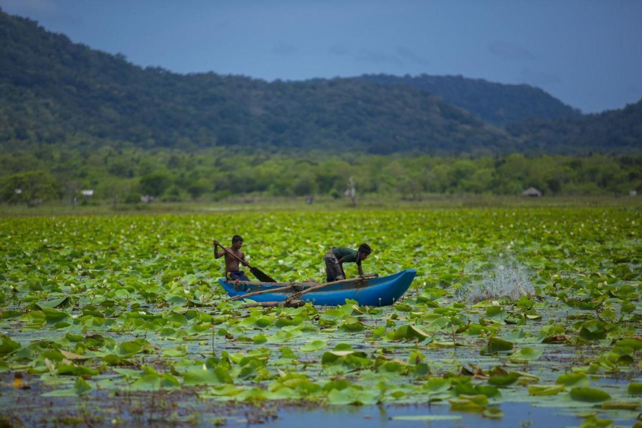 Grand Tamarind Lake Kataragama Extérieur photo